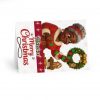 Have a Merry Christmas Greeting Card | 5 Pack, Brown Mrs Claus Wreath Illustration